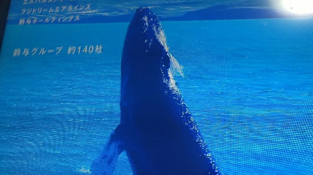 f:id:orangenoyume:20220122052629j:plain