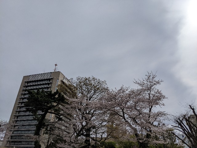 f:id:orangenoyume:20220401062043j:plain