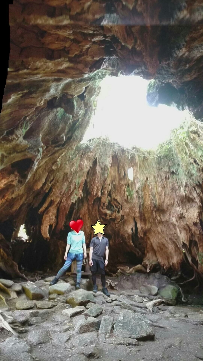 f:id:orangeny:20190614111326j:plain