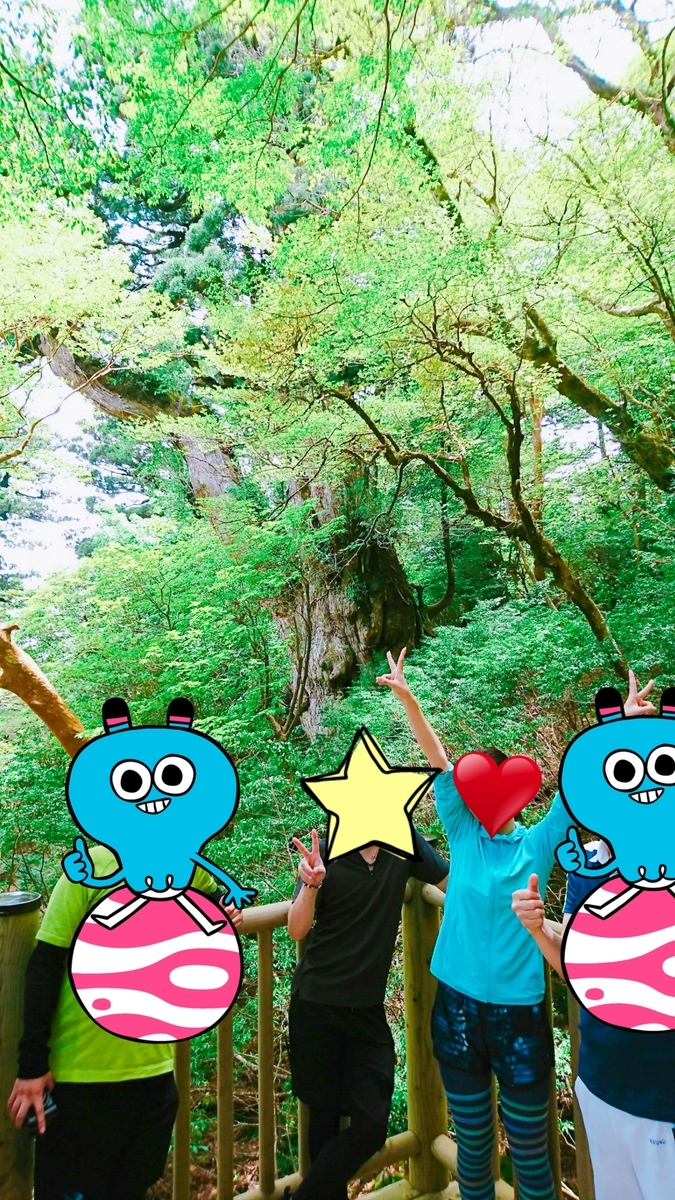 f:id:orangeny:20190614111341j:plain
