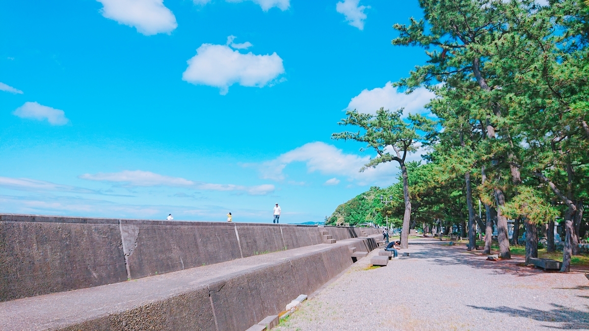 f:id:orangeny:20190624144523j:plain