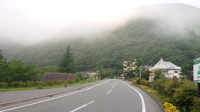 f:id:orangeny:20190811220217j:image