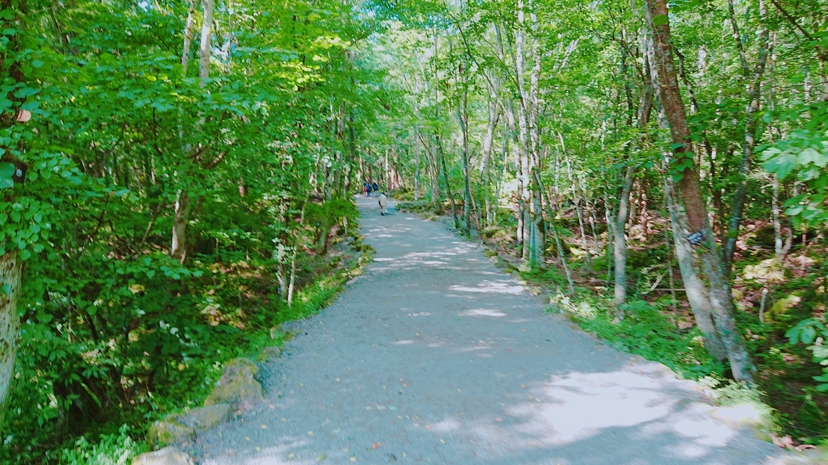 f:id:orangeny:20190816095126j:plain