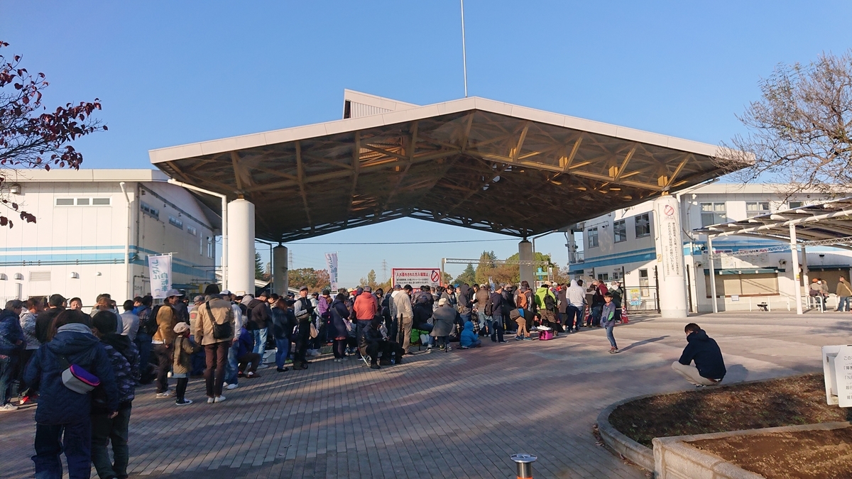 f:id:orangeny:20191111143411j:plain