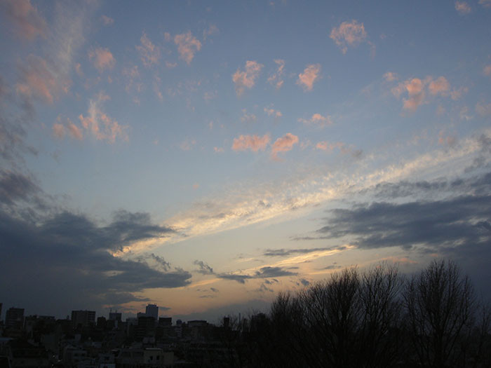 f:id:orangers:20040804005239j:plain