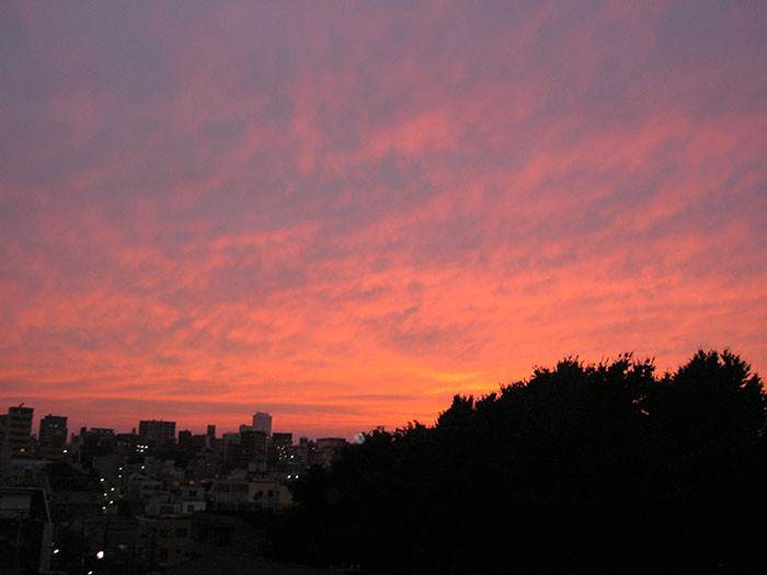 f:id:orangers:20090919191046j:plain