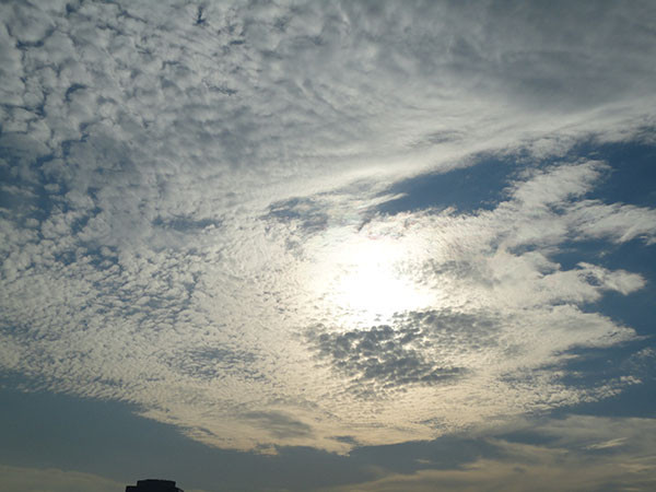 f:id:orangers:20101107150010j:plain