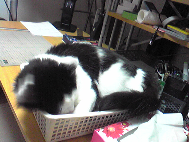 f:id:orangestar:20100312235700j:image