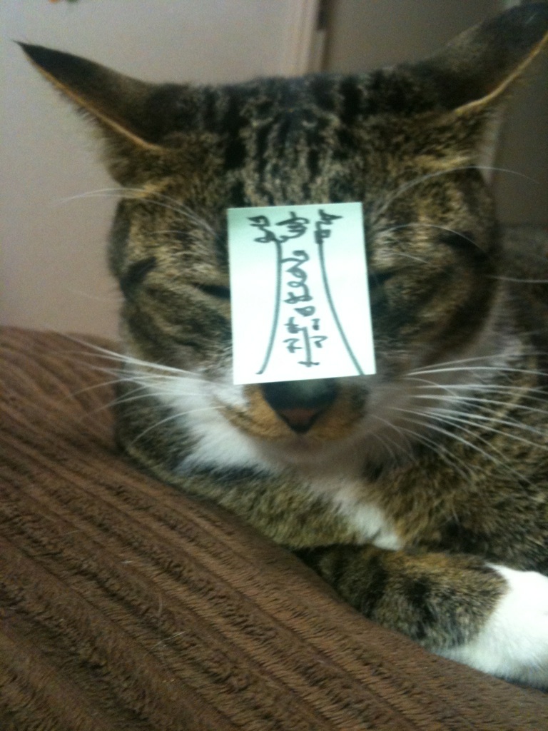 f:id:orangestar:20100903182952j:image