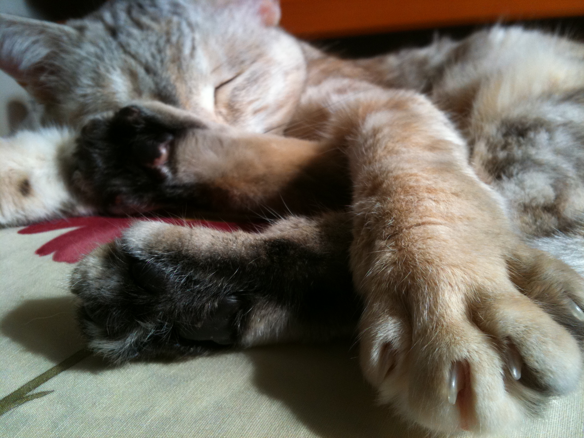 f:id:orangestar:20120101104426j:plain