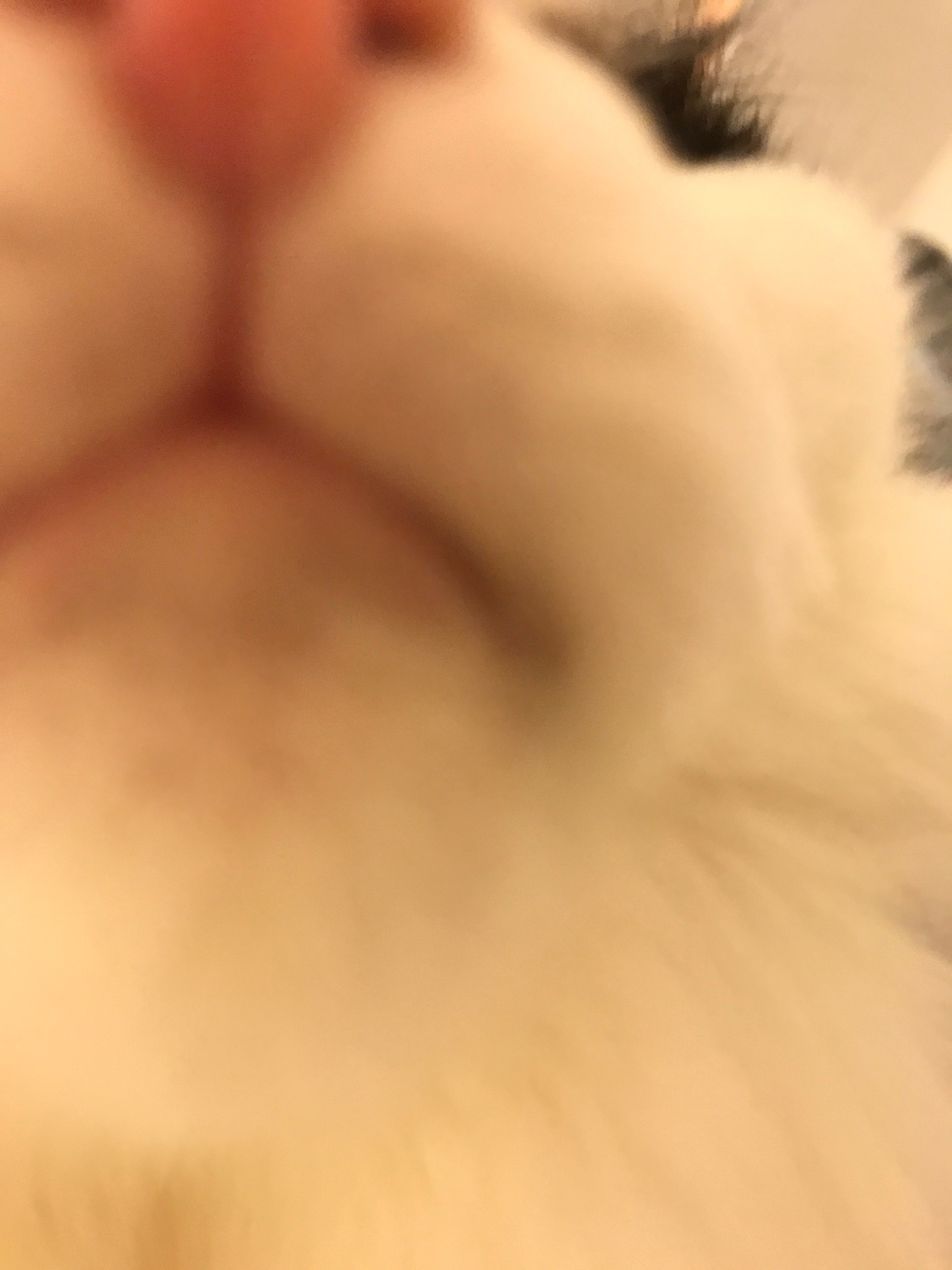 f:id:orangestar:20171119211937j:plain f:id:orangestar:20171119211937j:plain