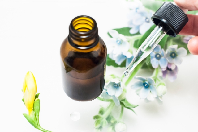 f:id:orangetart:20170315104924j:plain