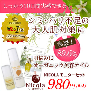 f:id:orangetart:20170315104944j:plain