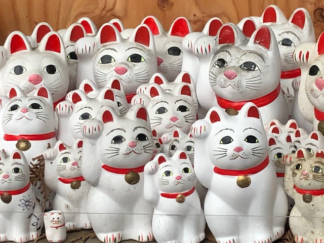 豪徳寺　招き猫