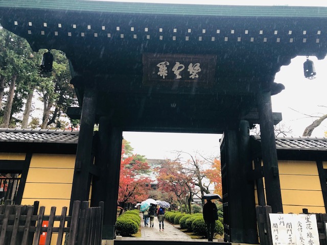 豪徳寺　正門