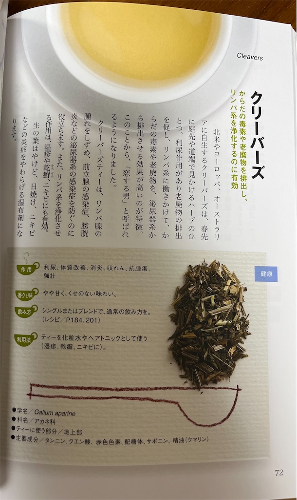 f:id:orangetulip31:20231015212854j:image f:id:orangetulip31:20231015212854j:image