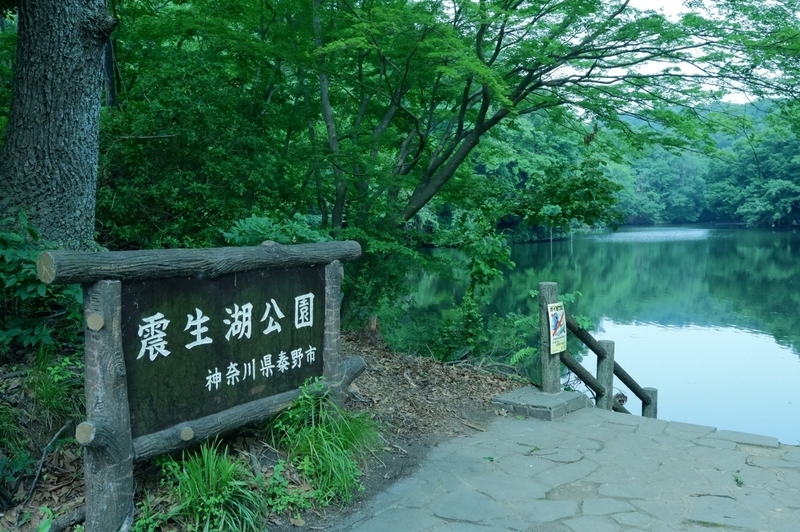 f:id:orb35786:20200606152003j:plain