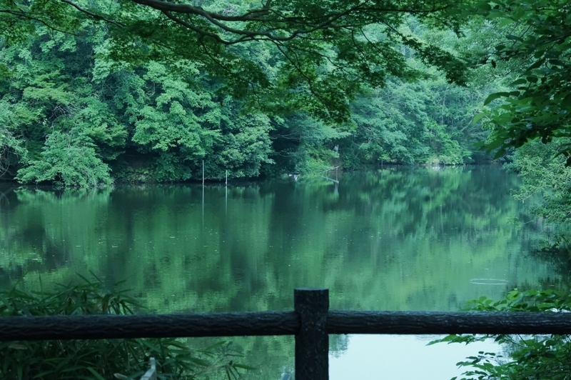f:id:orb35786:20200606152120j:plain