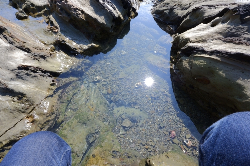 f:id:orb35786:20200905212815j:plain