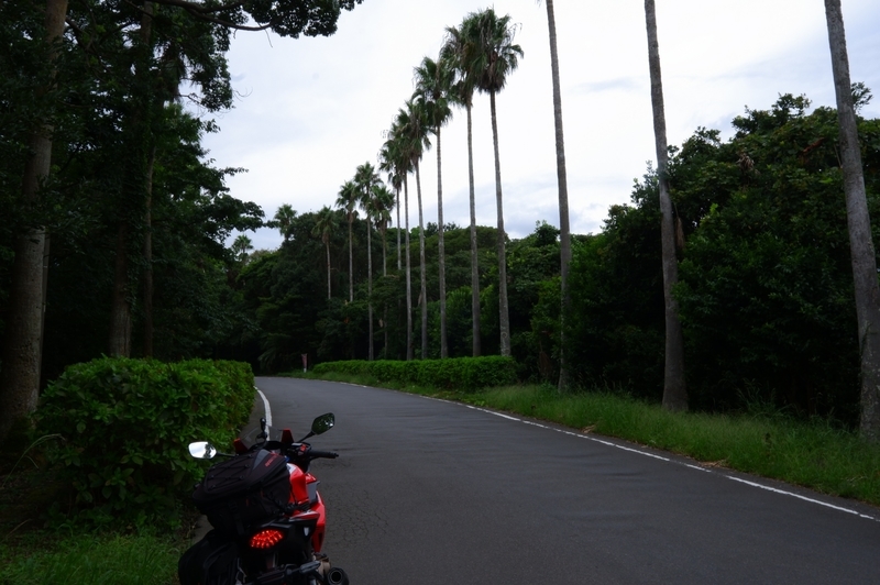 f:id:orb35786:20200925023800j:plain