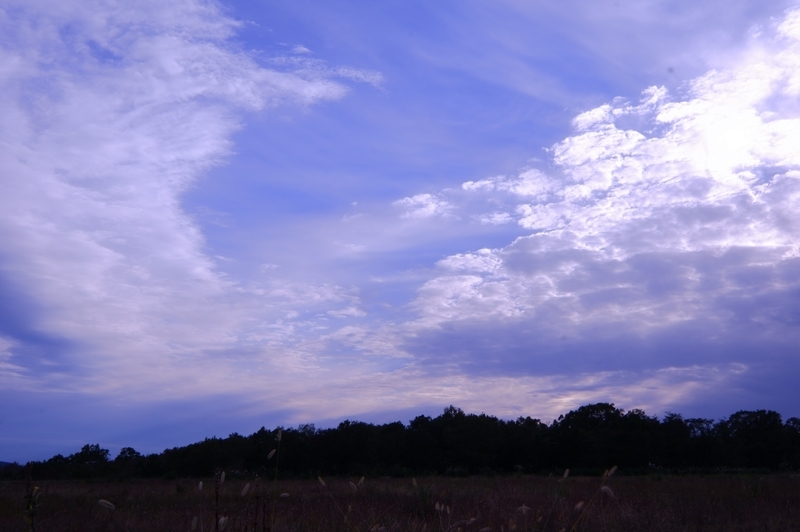 f:id:orb35786:20201019072800j:plain