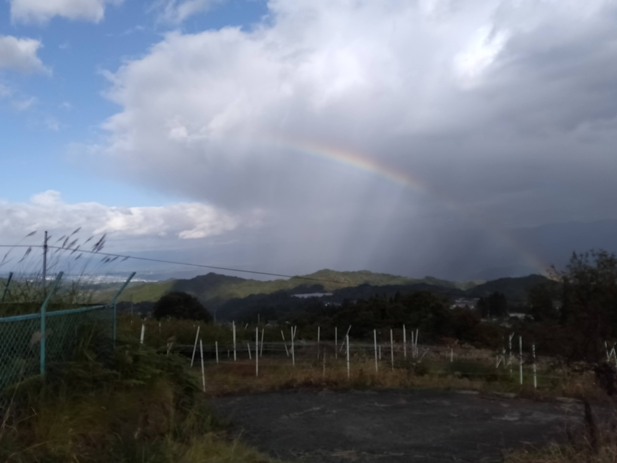 f:id:orb35786:20201025224657j:plain f:id:orb35786:20201025224657j:plain