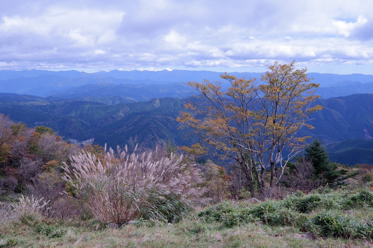 f:id:orb35786:20201025230938j:plain f:id:orb35786:20201025230938j:plain