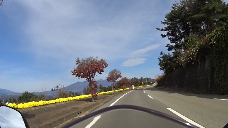 f:id:orb35786:20201103010848j:plain