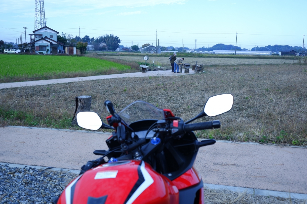 f:id:orb35786:20201108183259j:plain