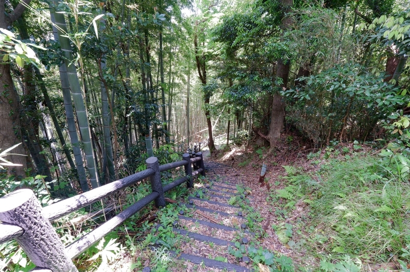 f:id:orb35786:20210523212846j:plain