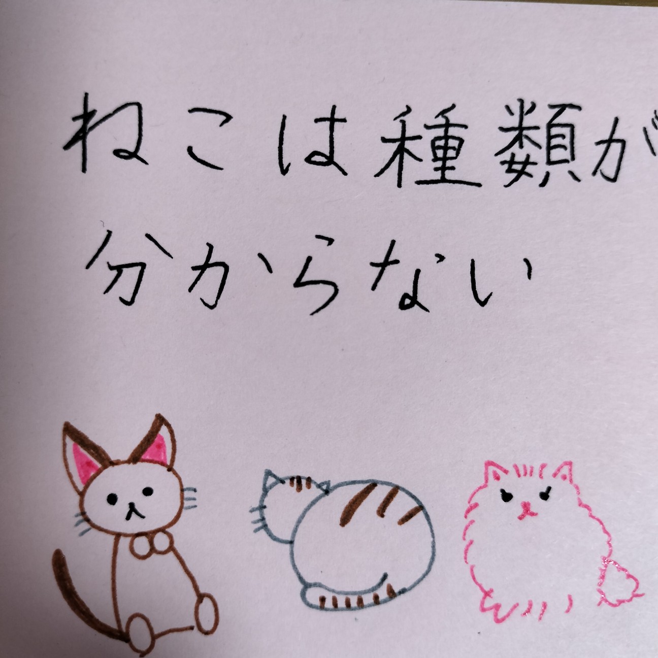 f:id:orca16:20260317220052j:image f:id:orca16:20260317220052j:image