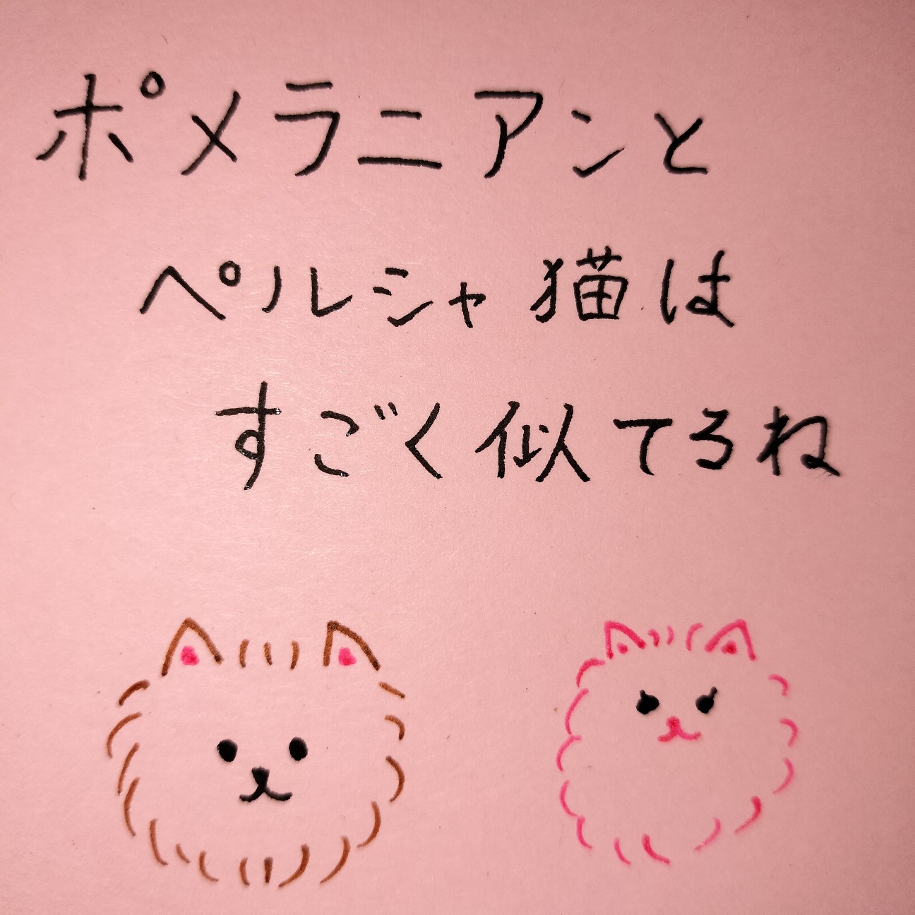 f:id:orca16:20260318193143j:image f:id:orca16:20260318193143j:image