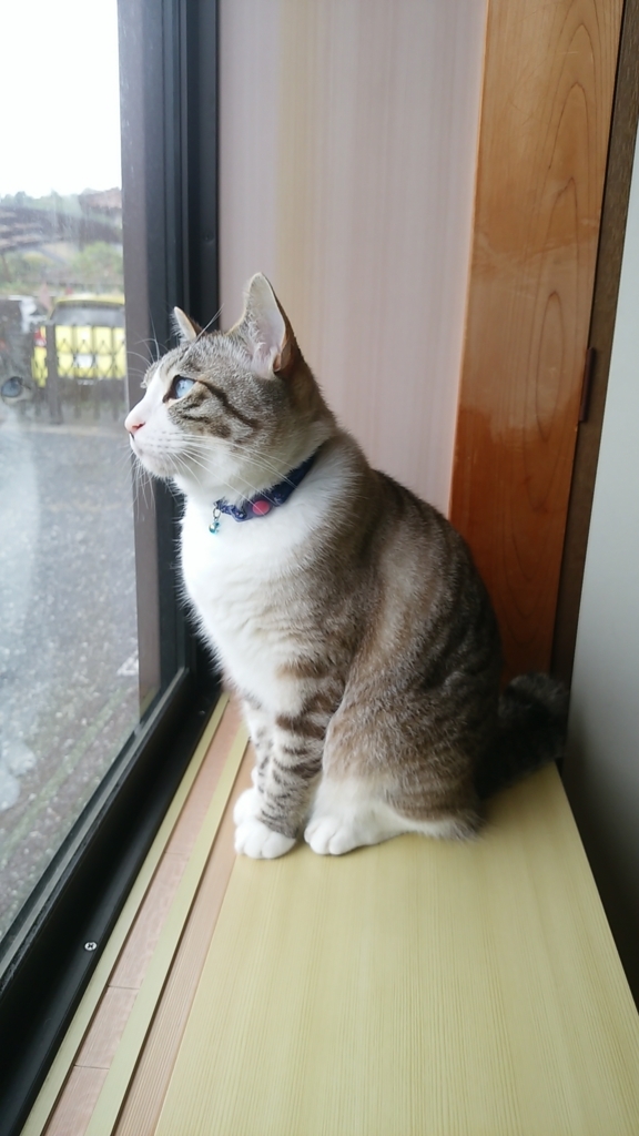f:id:orca24-1:20180508101306j:plain f:id:orca24-1:20180508101306j:plain