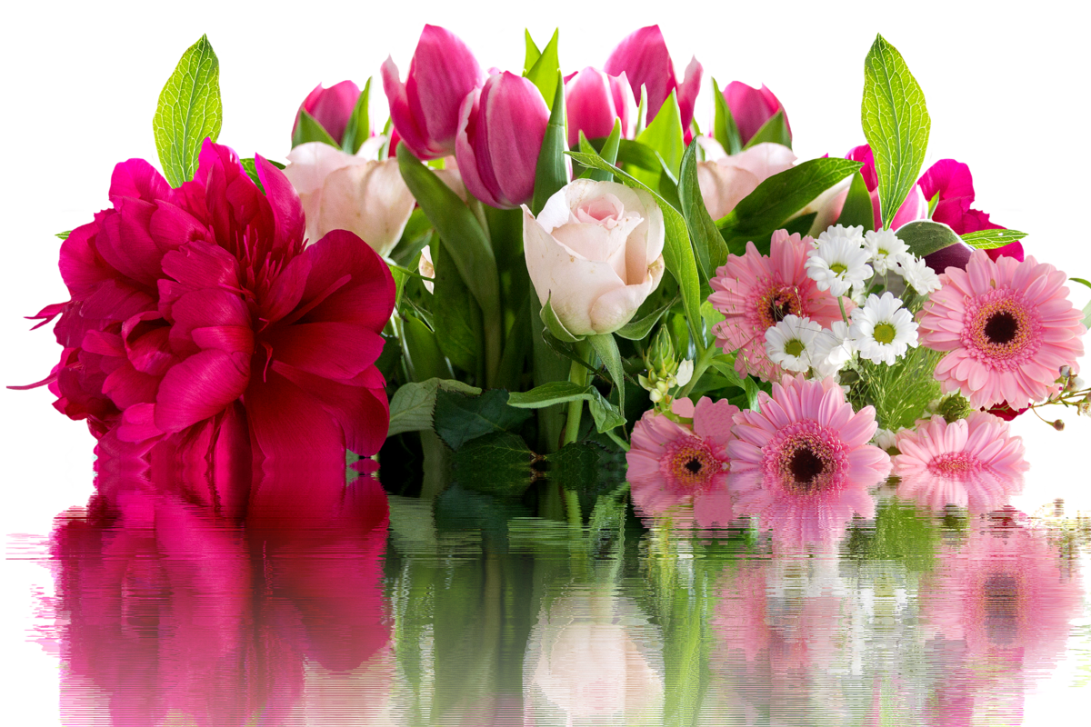 f:id:orca2ya:20190326090645p:plain