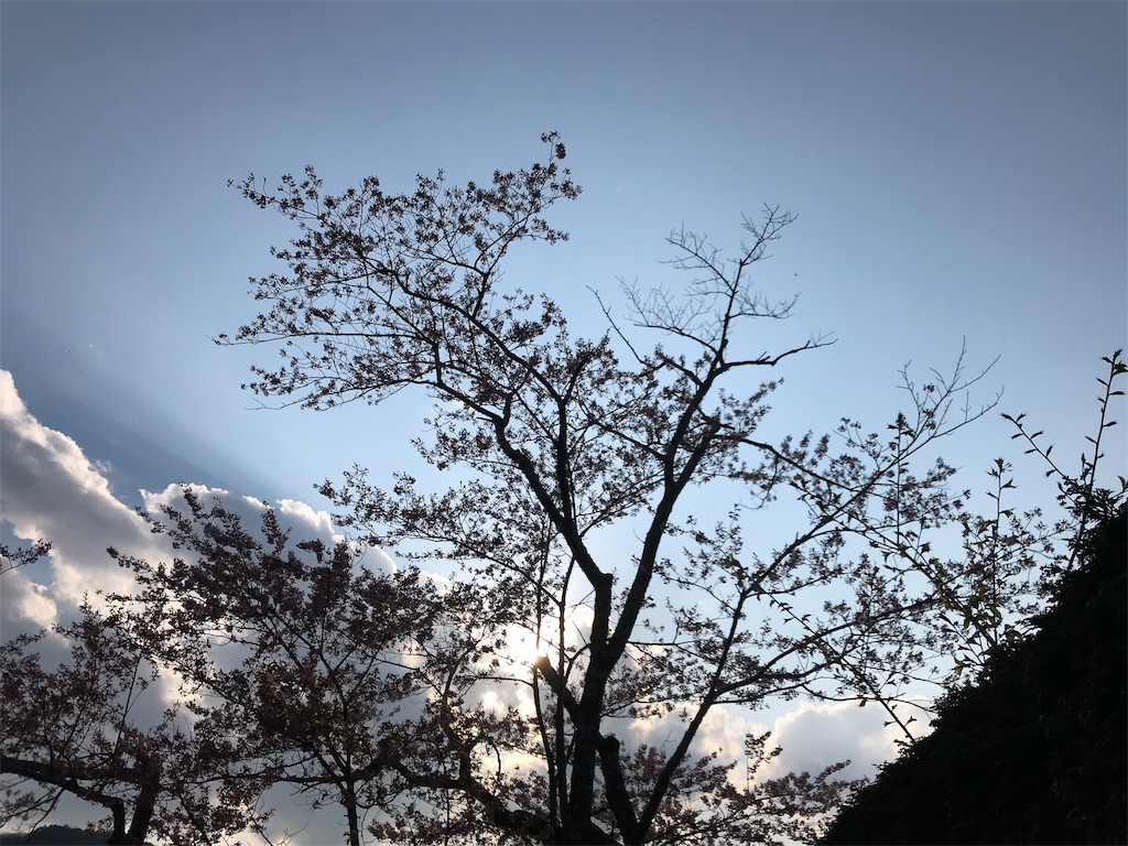 f:id:orcdragon:20190316191935j:image f:id:orcdragon:20190316191935j:image