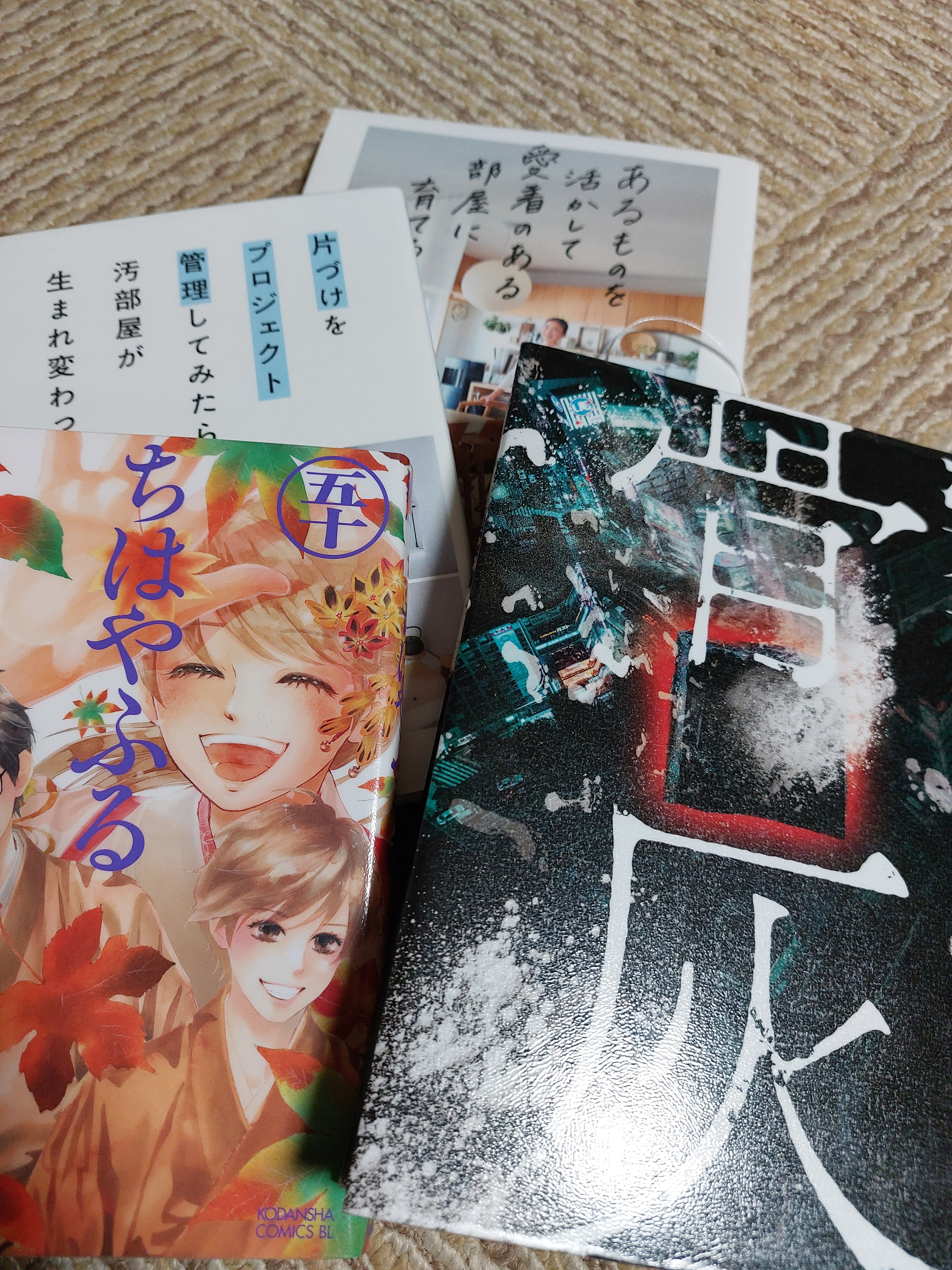f:id:orchidtaffy:20230203202018j:image f:id:orchidtaffy:20230203202018j:image