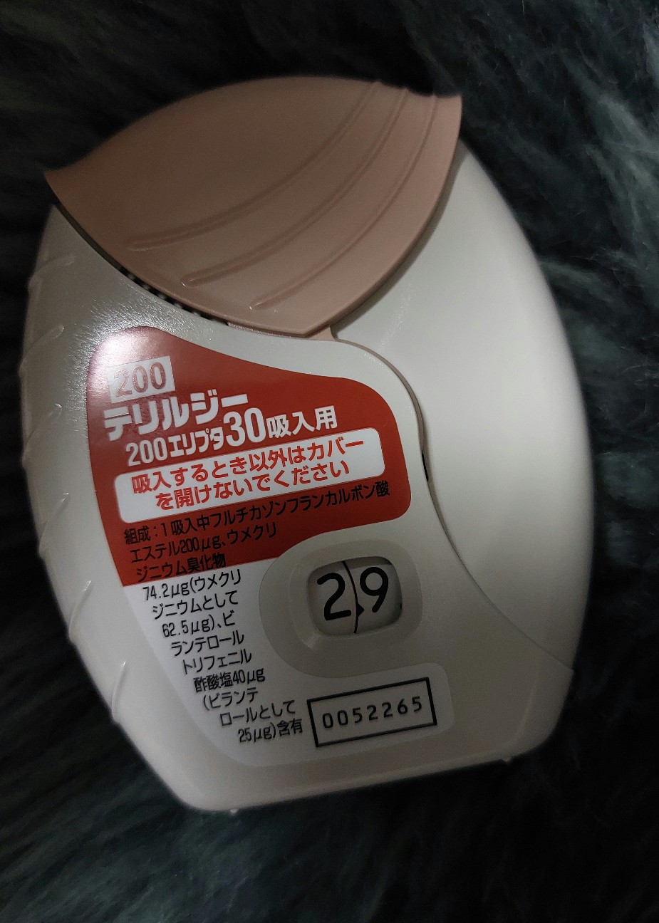 f:id:orchidtaffy:20241208213416j:image