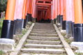 [伏見稲荷大社][伏見稲荷][山][神社]