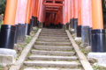 [伏見稲荷大社][伏見稲荷][山][神社]