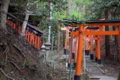 [伏見稲荷大社][伏見稲荷][山][神社]