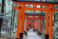 [伏見稲荷大社][伏見稲荷][山][神社]