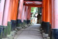 [伏見稲荷大社][伏見稲荷][山][神社]