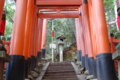 [伏見稲荷大社][伏見稲荷][山][神社]