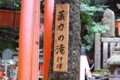 [伏見稲荷大社][伏見稲荷][山][神社]