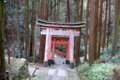 [伏見稲荷大社][伏見稲荷][山][神社]