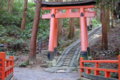 [伏見稲荷大社][伏見稲荷][山][神社]