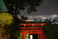 [伏見稲荷大社][伏見稲荷][山][神社][夜]