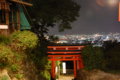 [伏見稲荷大社][伏見稲荷][山][神社][夜]