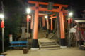 [伏見稲荷大社][伏見稲荷][山][神社][夜]