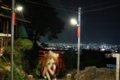 [伏見稲荷大社][伏見稲荷][山][神社][フィギュア][猫宮のの]